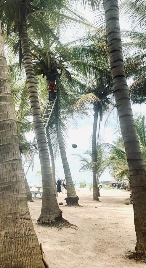 Jungle Beach Resort Sanyang エクステリア 写真