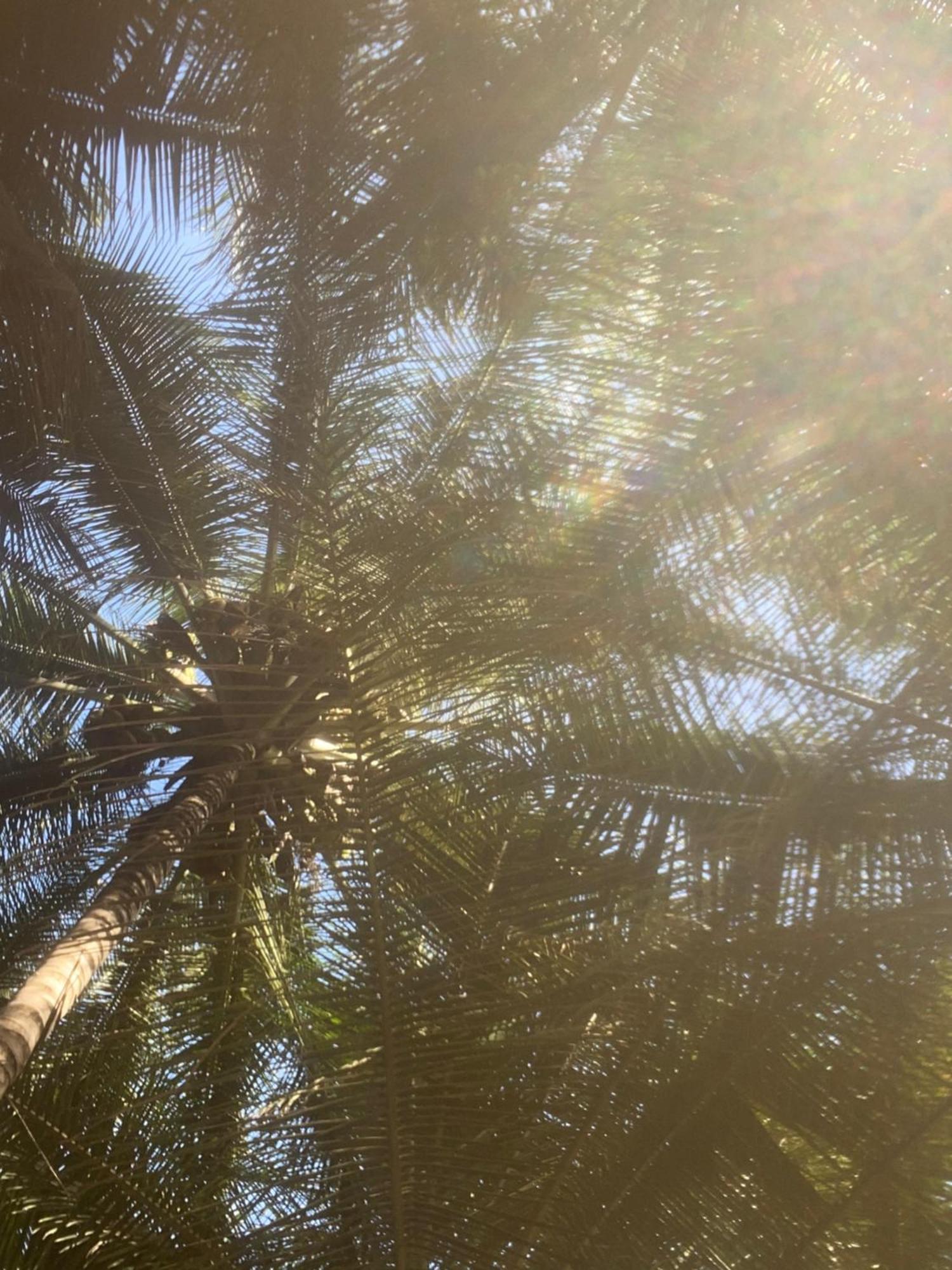 Jungle Beach Resort Sanyang エクステリア 写真